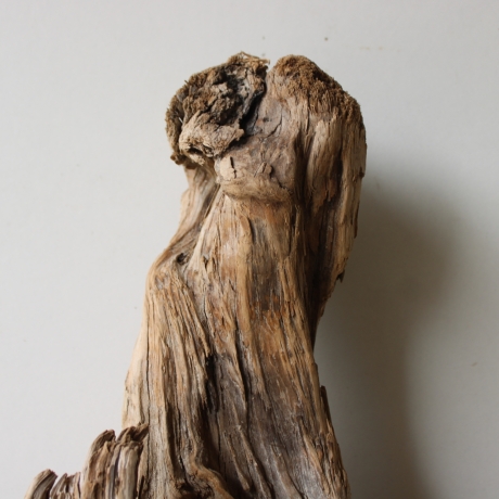 Treibholz Schwemmholz Driftwood 1 XL Wurzel  Terrarium 44 cm 