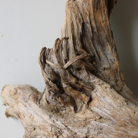 Treibholz Schwemmholz Driftwood 1 XL Wurzel  Terrarium 44 cm 