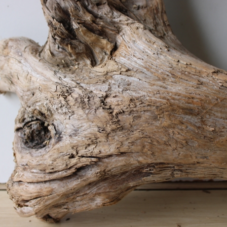 Treibholz Schwemmholz Driftwood 1 XL Wurzel  Terrarium 44 cm 