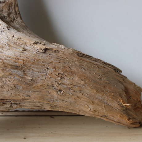 Treibholz Schwemmholz Driftwood 1 XL Wurzel  Terrarium 44 cm 