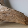 Treibholz Schwemmholz Driftwood 1 XL Wurzel  Terrarium 44 cm 