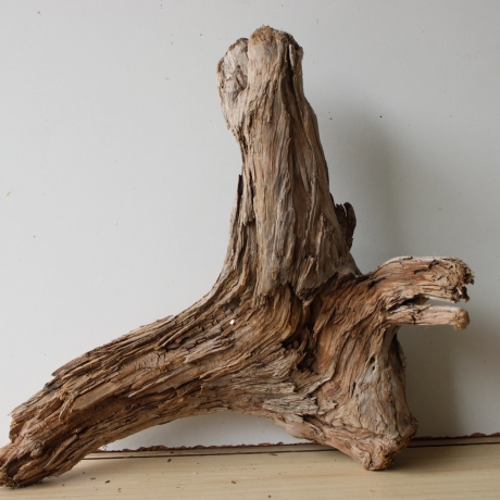 Treibholz Schwemmholz Driftwood 1 XL Wurzel  Terrarium 44 cm 