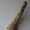 Treibholz Schwemmholz Driftwood 1 XXL  Ast  Garderobe 118 cm 