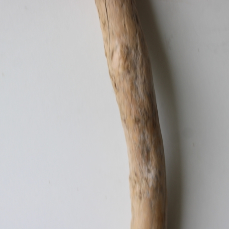 Treibholz Schwemmholz Driftwood 1 XXL  Ast  Garderobe 118 cm 