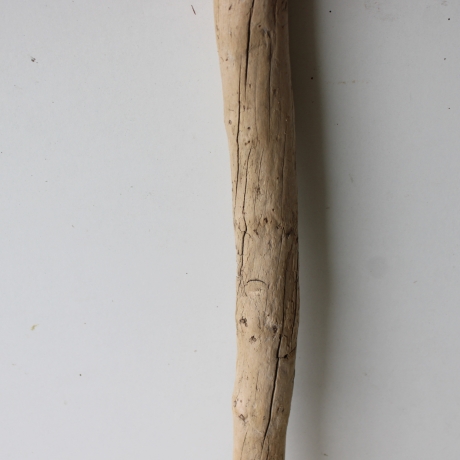 Treibholz Schwemmholz Driftwood 1 XXL  Ast  Garderobe 118 cm 