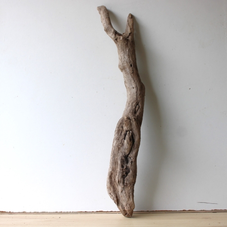 Treibholz Schwemmholz Driftwood 1 XL Wurzel  Terrarium 86 cm 
