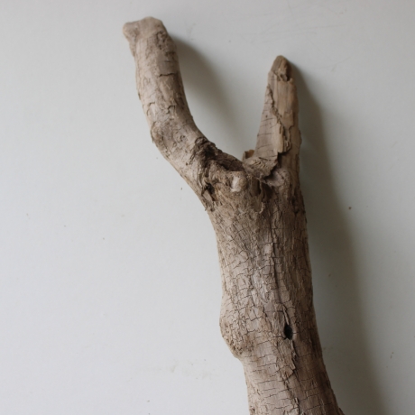 Treibholz Schwemmholz Driftwood 1 XL Wurzel  Terrarium 86 cm 