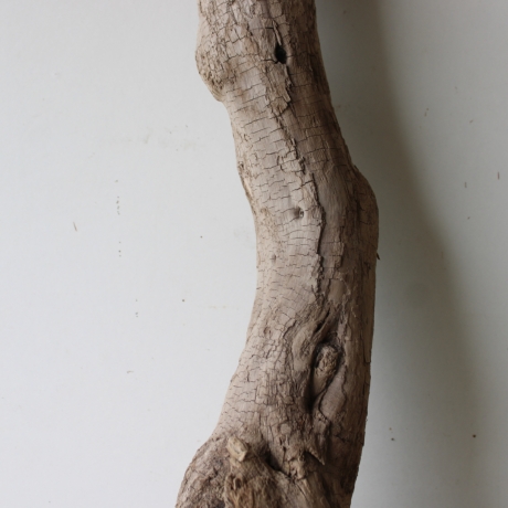 Treibholz Schwemmholz Driftwood 1 XL Wurzel  Terrarium 86 cm 