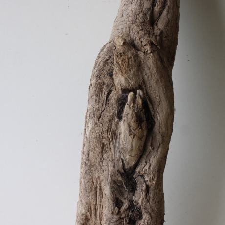 Treibholz Schwemmholz Driftwood 1 XL Wurzel  Terrarium 86 cm 
