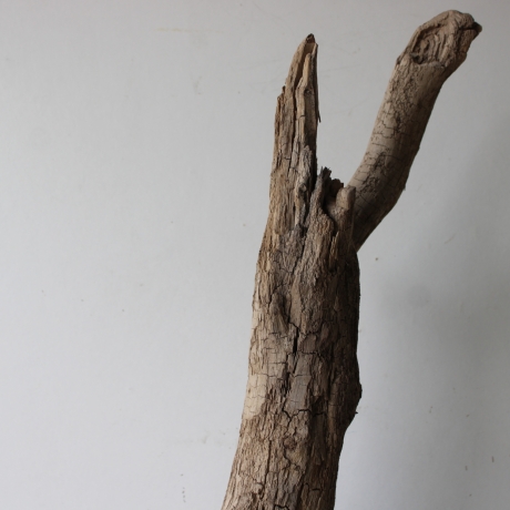 Treibholz Schwemmholz Driftwood 1 XL Wurzel  Terrarium 86 cm 
