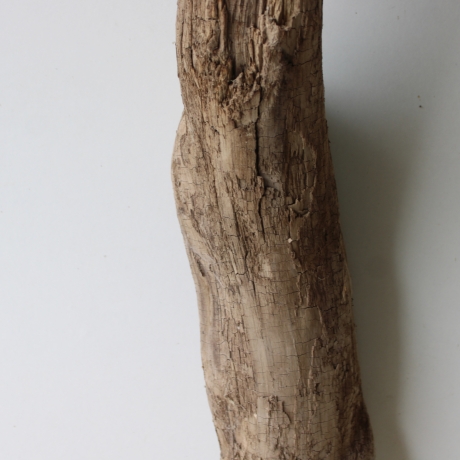 Treibholz Schwemmholz Driftwood 1 XL Wurzel  Terrarium 86 cm 
