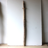 Treibholz Schwemmholz Driftwood 1 MEGA Ast  Garderobe 132 cm 