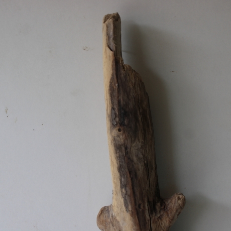Treibholz Schwemmholz Driftwood 1 MEGA Ast  Garderobe 132 cm 