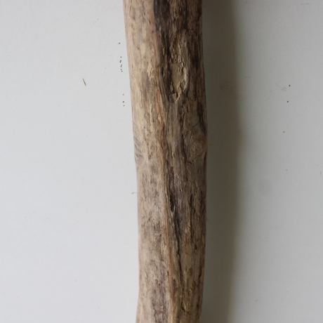 Treibholz Schwemmholz Driftwood 1 MEGA Ast  Garderobe 132 cm 