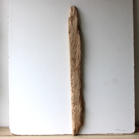Treibholz Schwemmholz Driftwood 1 XL Brett 102 cm  