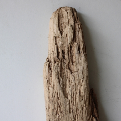 Treibholz Schwemmholz Driftwood 1 XL Brett 102 cm  