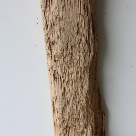 Treibholz Schwemmholz Driftwood 1 XL Brett 102 cm  
