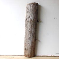 Treibholz Schwemmholz Driftwood 1  XL Skulptur  70 cm 