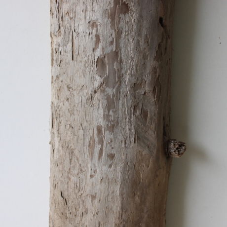 Treibholz Schwemmholz Driftwood 1  XL Skulptur  70 cm 