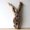 Treibholz Schwemmholz Driftwood 1 XL Wurzel  Terrarium 58 cm 