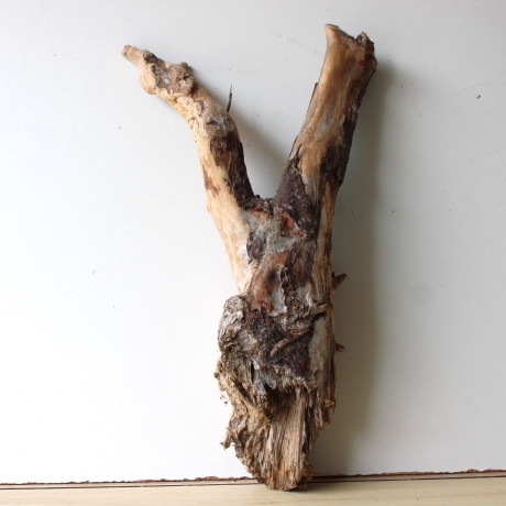 Treibholz Schwemmholz Driftwood 1 XL Wurzel  Terrarium 58 cm 