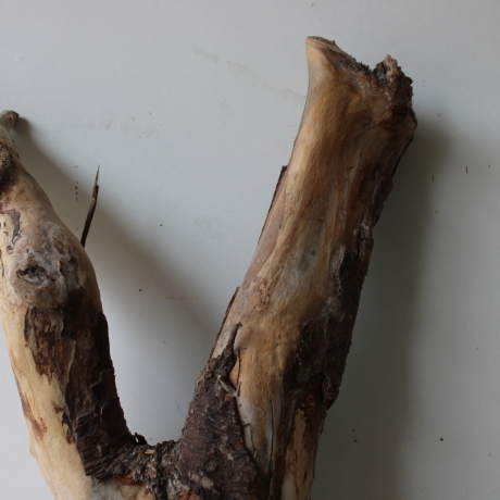 Treibholz Schwemmholz Driftwood 1 XL Wurzel  Terrarium 58 cm 