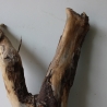 Treibholz Schwemmholz Driftwood 1 XL Wurzel  Terrarium 58 cm 