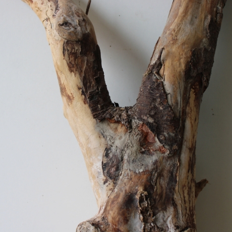 Treibholz Schwemmholz Driftwood 1 XL Wurzel  Terrarium 58 cm 