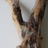 Treibholz Schwemmholz Driftwood 1 XL Wurzel  Terrarium 58 cm 