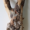 Treibholz Schwemmholz Driftwood 1 XL Wurzel  Terrarium 58 cm 