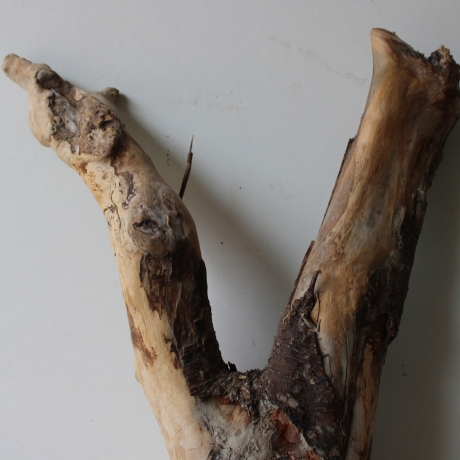 Treibholz Schwemmholz Driftwood 1 XL Wurzel  Terrarium 58 cm 