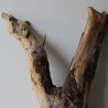 Treibholz Schwemmholz Driftwood 1 XL Wurzel  Terrarium 58 cm 