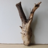 Treibholz Schwemmholz Driftwood 1 XL Wurzel  Terrarium 58 cm 