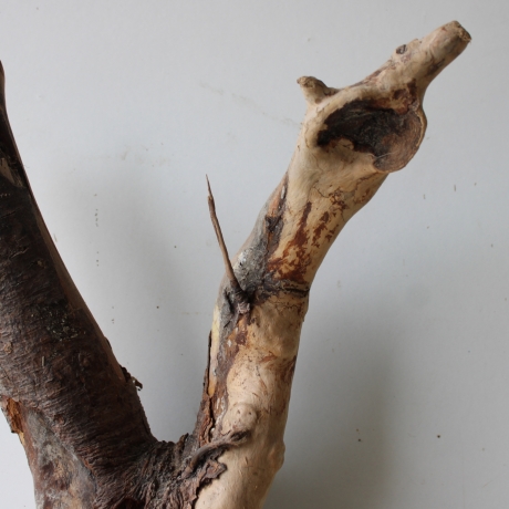 Treibholz Schwemmholz Driftwood 1 XL Wurzel  Terrarium 58 cm 