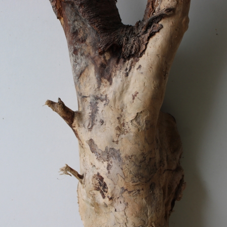 Treibholz Schwemmholz Driftwood 1 XL Wurzel  Terrarium 58 cm 