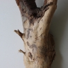 Treibholz Schwemmholz Driftwood 1 XL Wurzel  Terrarium 58 cm 