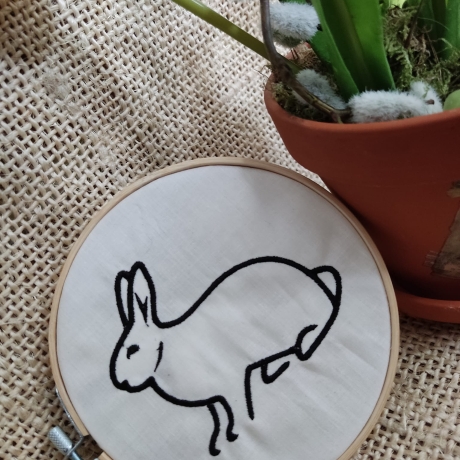 Hase