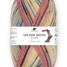 Pro Lana Alpin Stretch 4-fäd. Sockenwolle 100g 