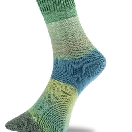 Pro Lana Saas Fee Stretch & Same Socks, Fb. 433.01