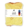 Pro Lana 1-2-3 IDEEN 100g Baumwollgarn Farbverlaufsgarn