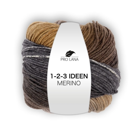 Pro Lana 1-2-3 IDEEN Merino 100g Farbverlaufsgarn