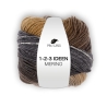 Pro Lana 1-2-3 IDEEN Merino 100g Farbverlaufsgarn