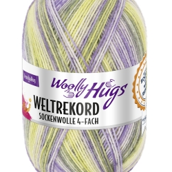 Woolly Hugs Weltrekord Sockenwolle, 4-fädig, 100g, Fb. 05