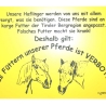 Pferdeschild Haflinger füttern verboten Gravurschild 15x20 cm