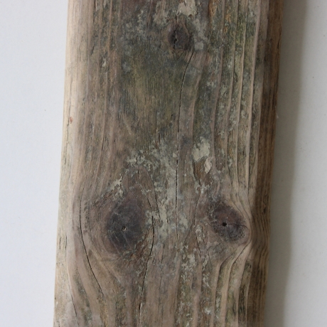 Treibholz Schwemmholz Driftwood  1   Brett Regal  59 cm  