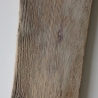 Treibholz Schwemmholz Driftwood  1 XL  Brett Regal  58 cm  