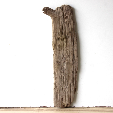 Treibholz Schwemmholz Driftwood  1   Brett Regal  44 cm  