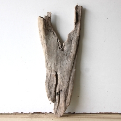 Treibholz Schwemmholz Driftwood 1 Skulptur  40 cm 