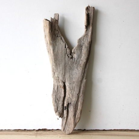Treibholz Schwemmholz Driftwood 1 Skulptur  40 cm 