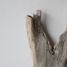 Treibholz Schwemmholz Driftwood 1 Skulptur  40 cm 
